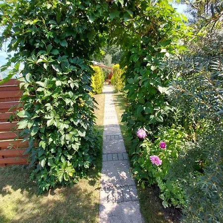 Lawendowy Na Wiejskiej *