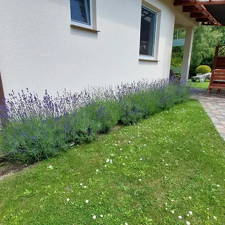 Semesterbostad Dom Lawendowy Caloroczny Ogrzewany Na Wiejskiej *