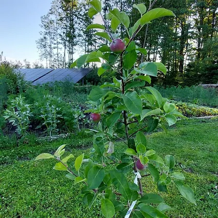 Lawendowy Na Wiejskiej Casa de Férias *