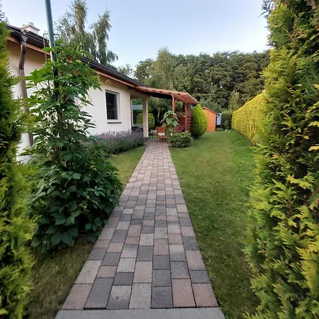 Lawendowy Na Wiejskiej
