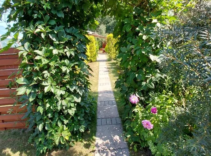 Lawendowy Na Wiejskiej *