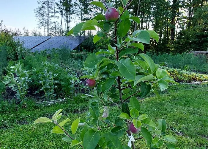 Lawendowy Na Wiejskiej بيت للعطل *